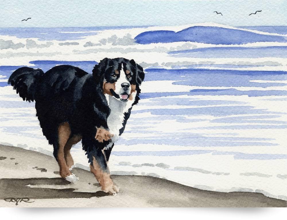 1000x767 Bernese Mountain Dog Paintingwatercolor Contemporary