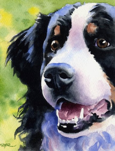380x500 Bernese Mountain Dog Dog Art Print Signed By