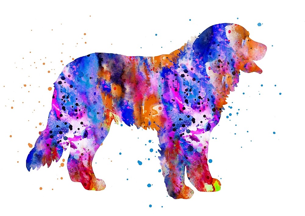 1000x707 Bernese Mountain Dog, Watercolor Bernese By Rosaliartbook Redbubble