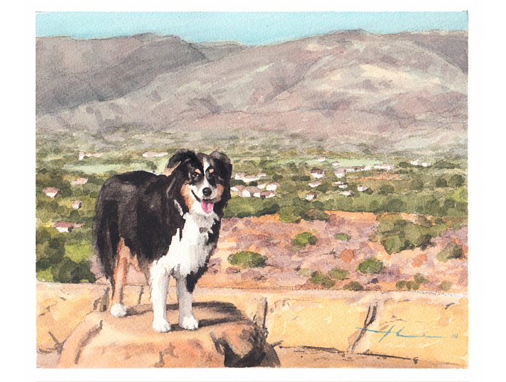 710x536 Bernese Mountain Dog Southwest Watercolor By Mike Theuer