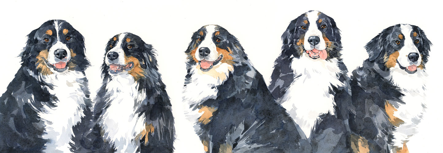 1444x500 Dog Watercolor Portraits David Scheirer Watercolors