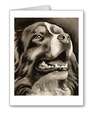 326x400 Bernese Mountain Dog Note Cards By Watercolor Artist Dj Rogers