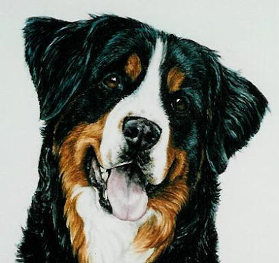 400x378 Berner Art For Sale