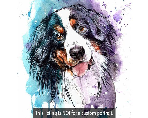 570x456 Bernese Mountain Dog, Watercolor Painting Wall Print, Party Decor
