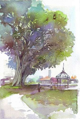 338x500 Big Tree Drawing Unique 83 Best Watercolor Landscapes Images On