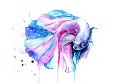 236x166 Fish Painting Paintings By Ti Watercolor