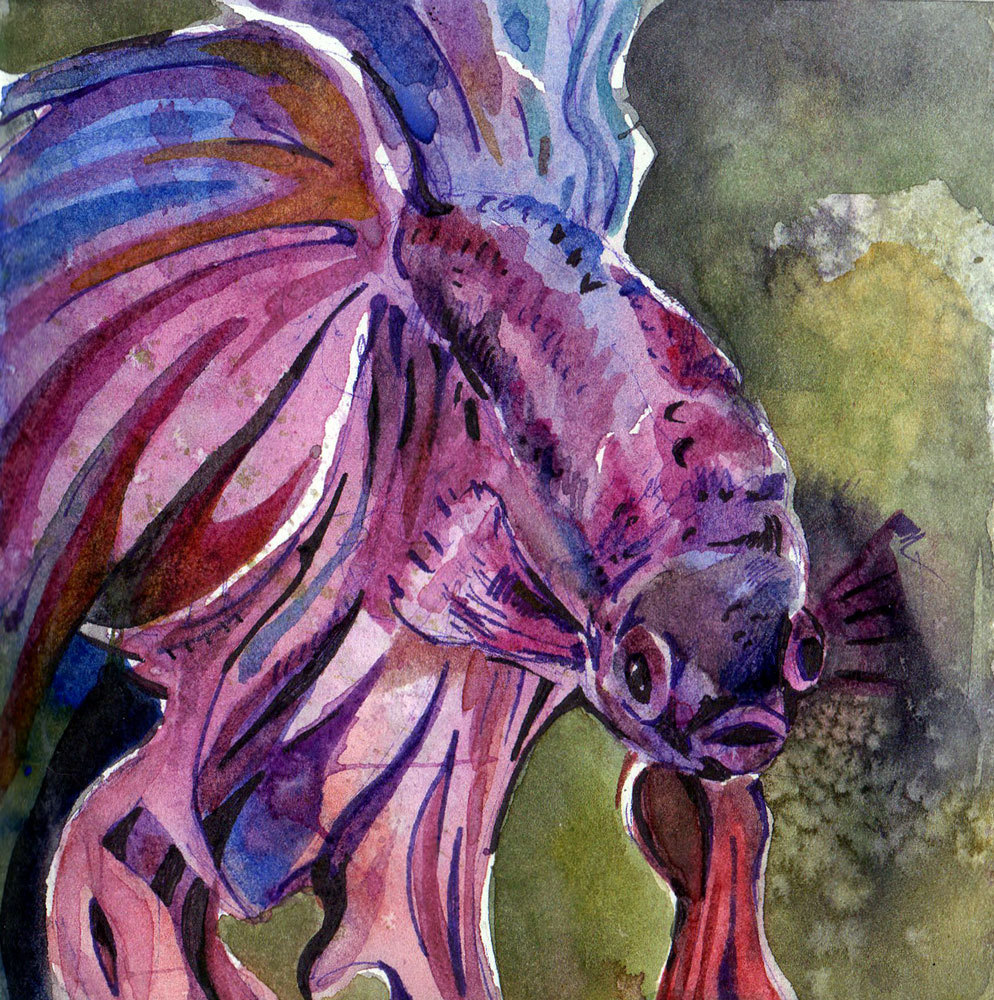 994x1000 Watercolor Painting Of Fish