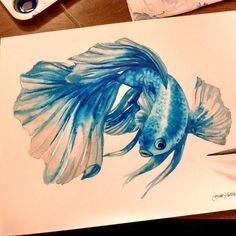 236x236 Watercolour Fish
