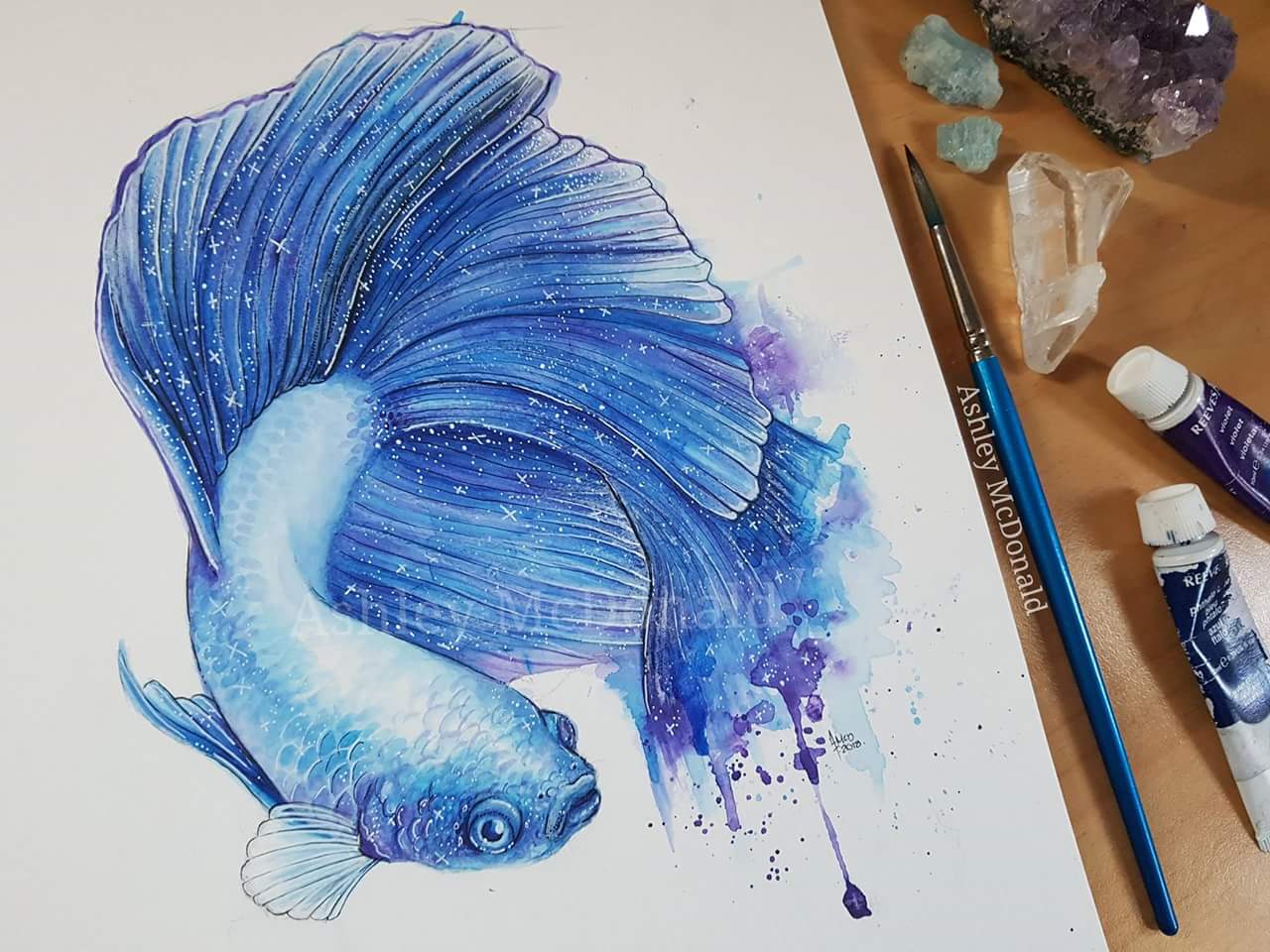 1280x960 Galaxy Betta Fish (Age 18) Watercolor