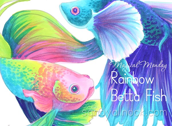 600x440 Magical Monday Rainbow Betta Fish Drawing Sandy Allnock