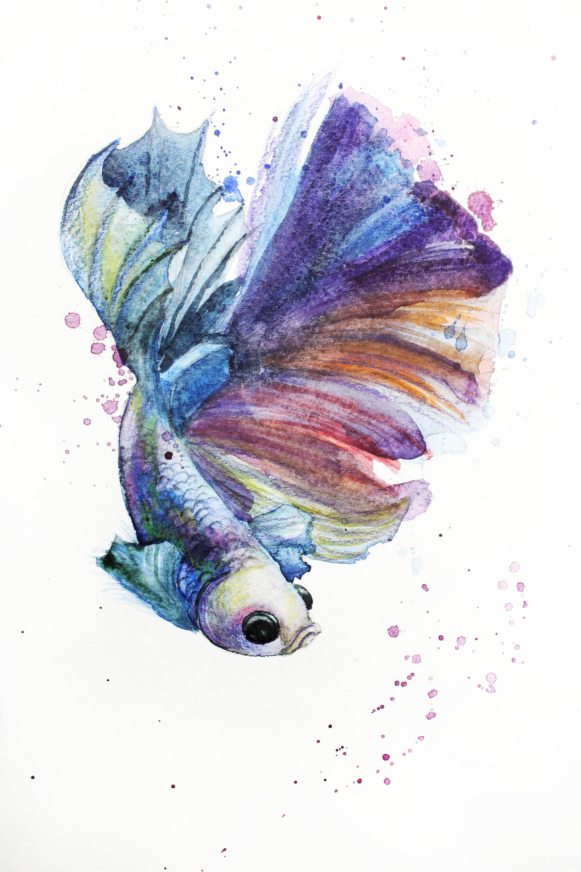 2000x3000 Print Of Watercolor Fish Illustration Fish Betta Art Betta Etsy