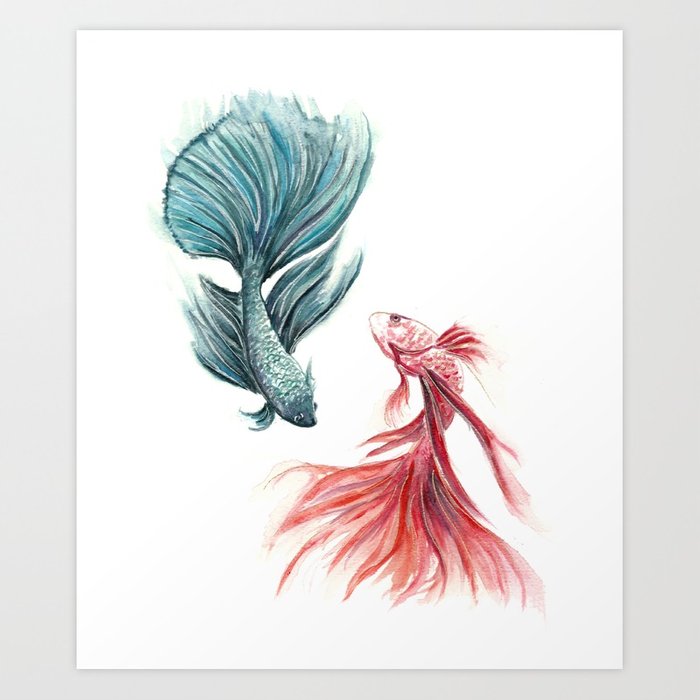 700x700 Watercolor Betta Fish Art Print By Thehousekat Society6