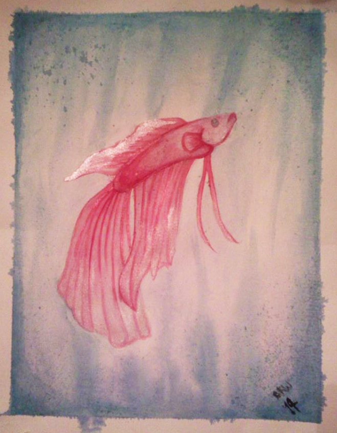 659x845 Watercolor Betta By Dracosderpyhoof