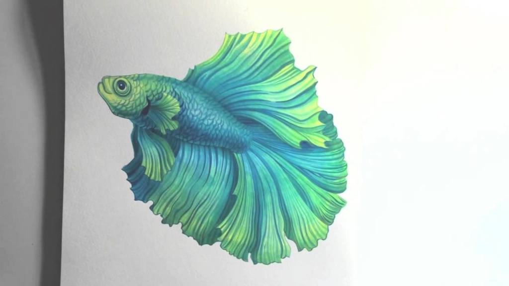 1024x576 Watercolor Fish Paintings Betta Splendens Watercolour Painting