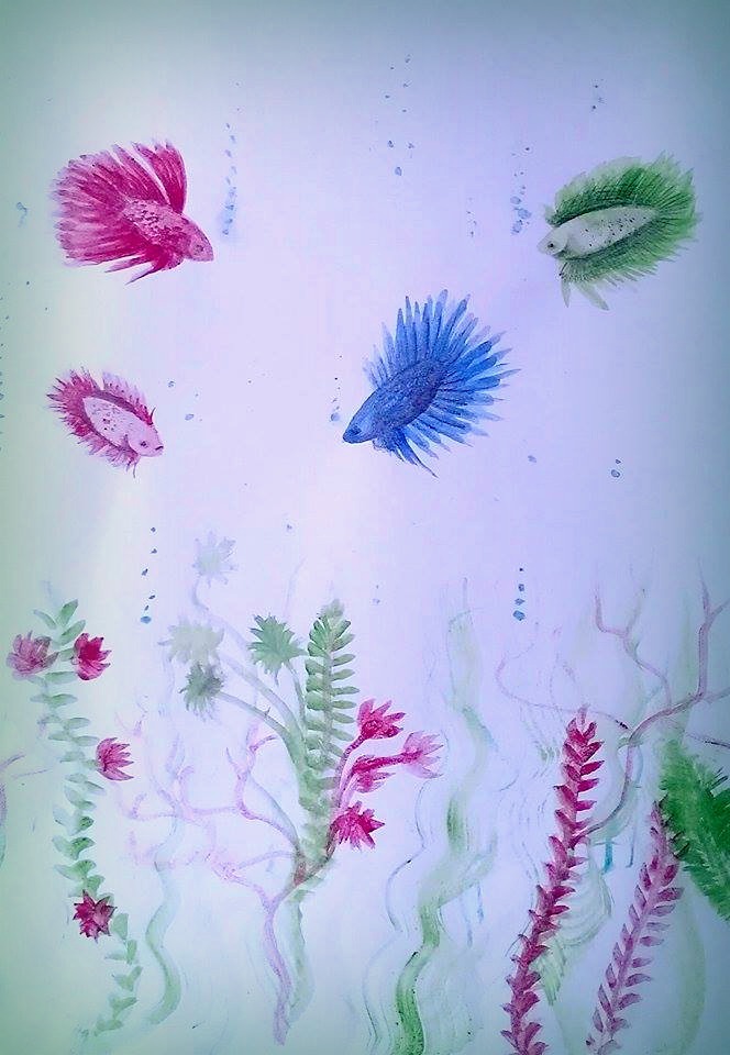 664x960 Watercolor Bettas