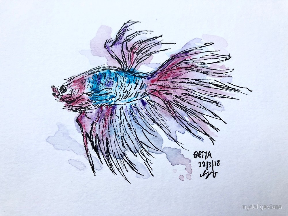 1000x750 Watercolour Betta By Mydollyaviana Redbubble