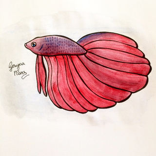 320x320 Betta Drawings On Paigeeworld. Pictures Of Betta