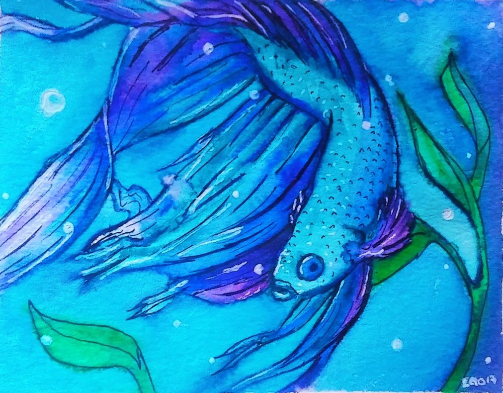 1012x790 Betta Watercolor By Papermuse