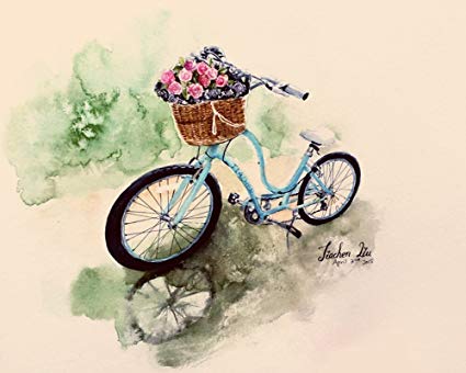 425x340 Jiachen Painting Flower Bicycle Watercolor Paints