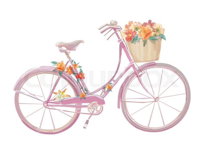 800x599 Watercolor Illustration Of A Pink Bicycle With Flowers, Vector