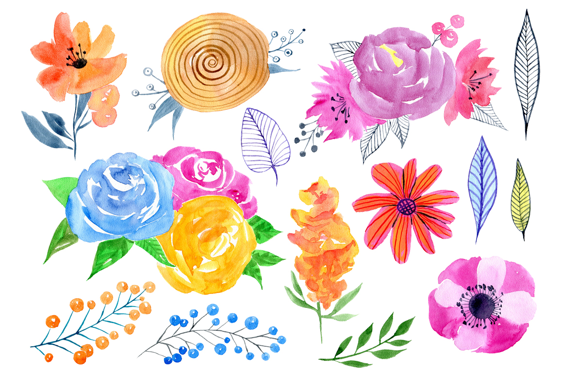 1160x772 Watercolor Floral Big Bundle, 97 Png