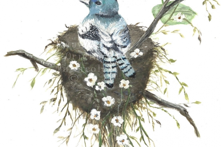 745x497 Original Watercolor Painting Archival Print, Protecting The Nest