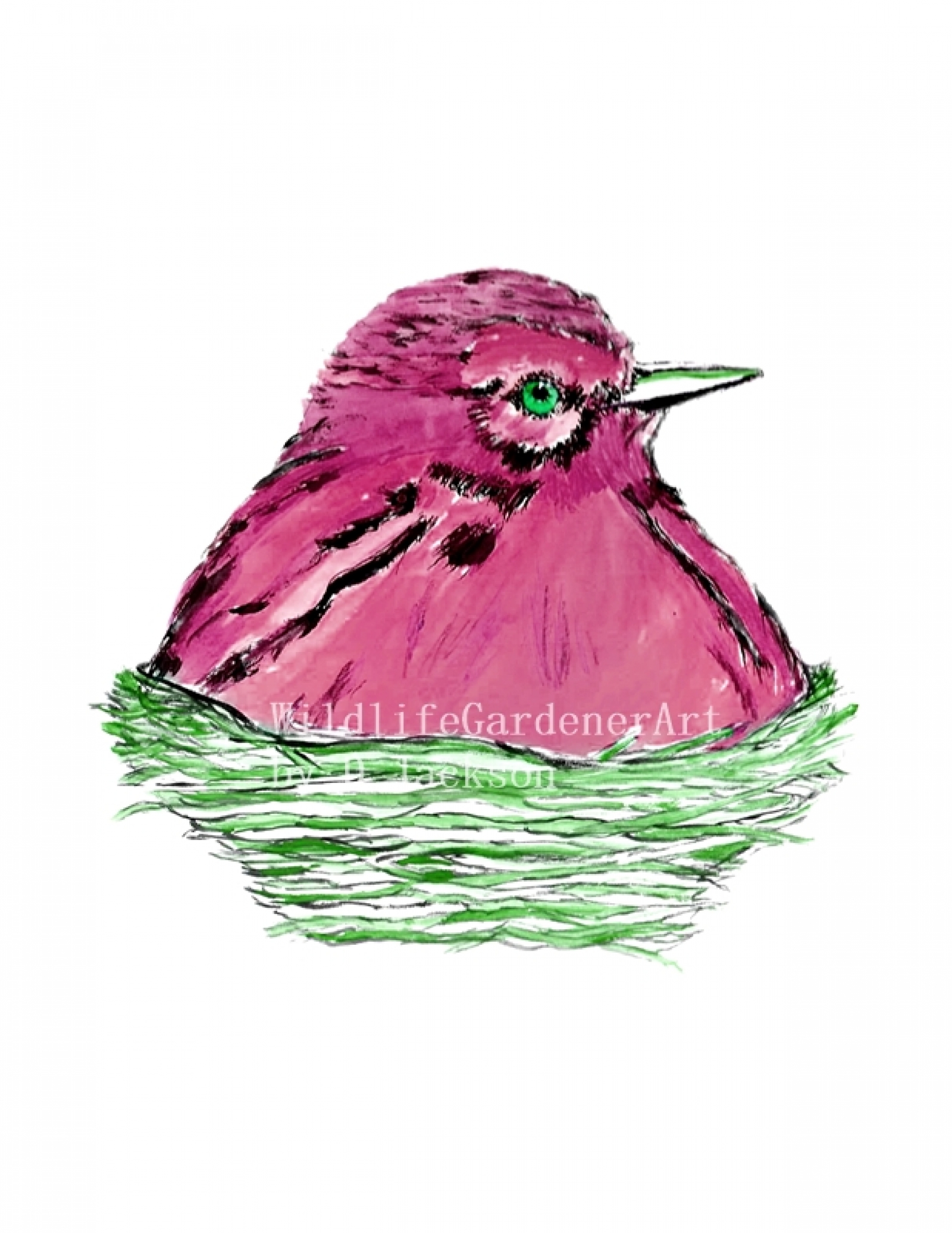 1600x2071 Pink Bird In Nest Watercolor Art Print Wildlife Gardener Art
