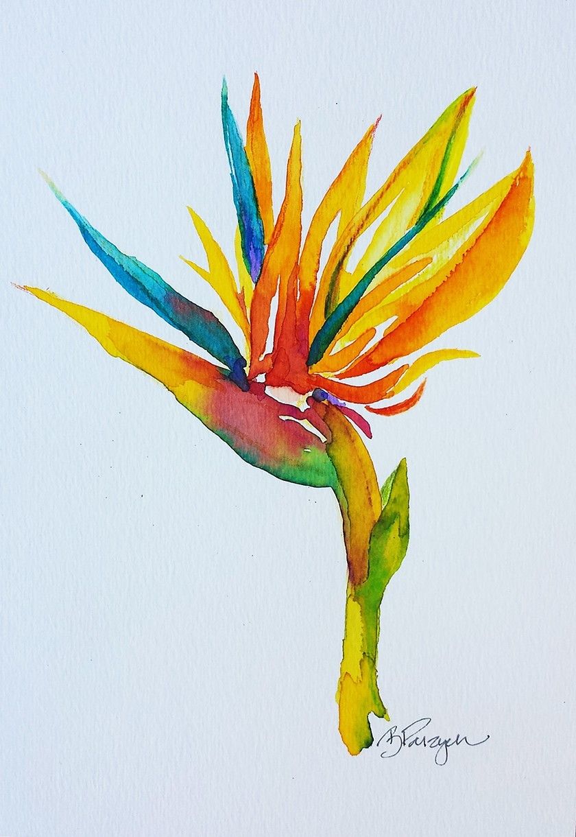 840x1220 Bird Of Paradise Tattoos Paradise, Bird And Watercolor