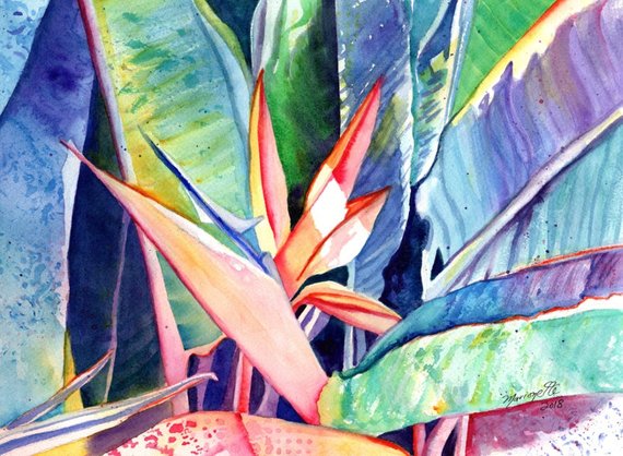 570x418 Bird Of Paradise Watercolor Original Paradise Art Tropical Etsy