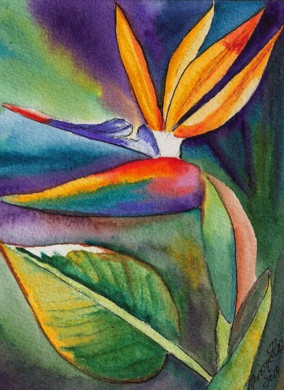570x784 Mini Bird Of Paradise Original Watercolor From Kauai Hawaii
