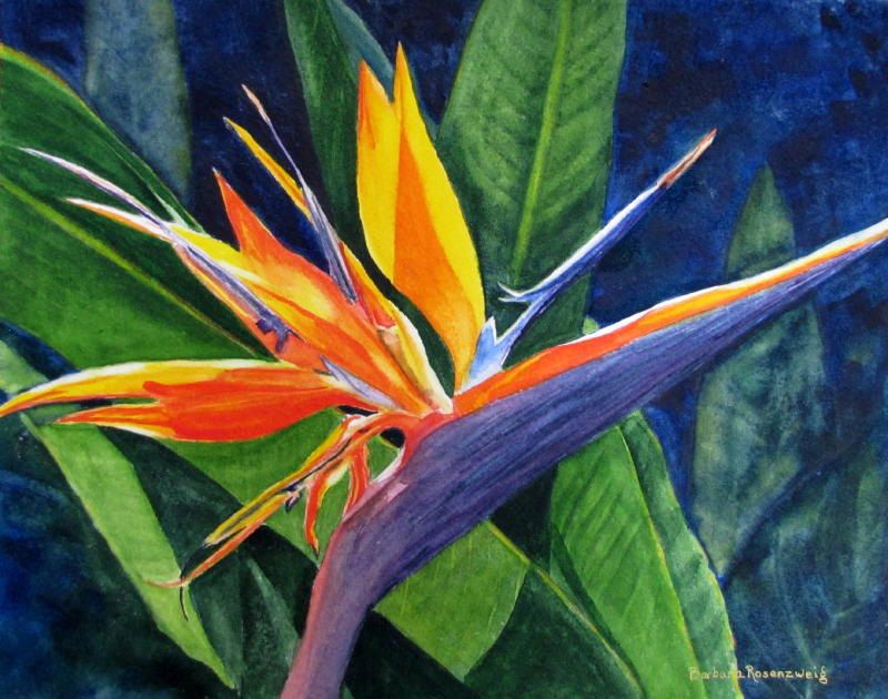 800x630 Tropical Flower Print, Bird Of Paradise, Exotic Flower Painting