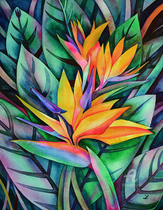 550x710 Bird Of Paradise Watercolor By Zaira Dzhaubaeva 2015.jpg (Zaira
