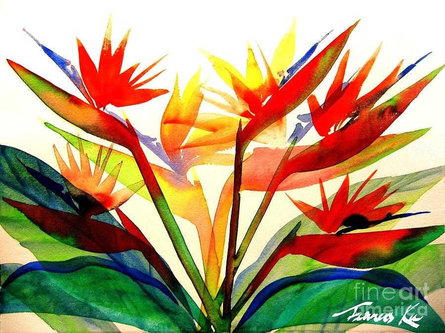 900x674 Bird Of Paradise Painting By Frances Ku
