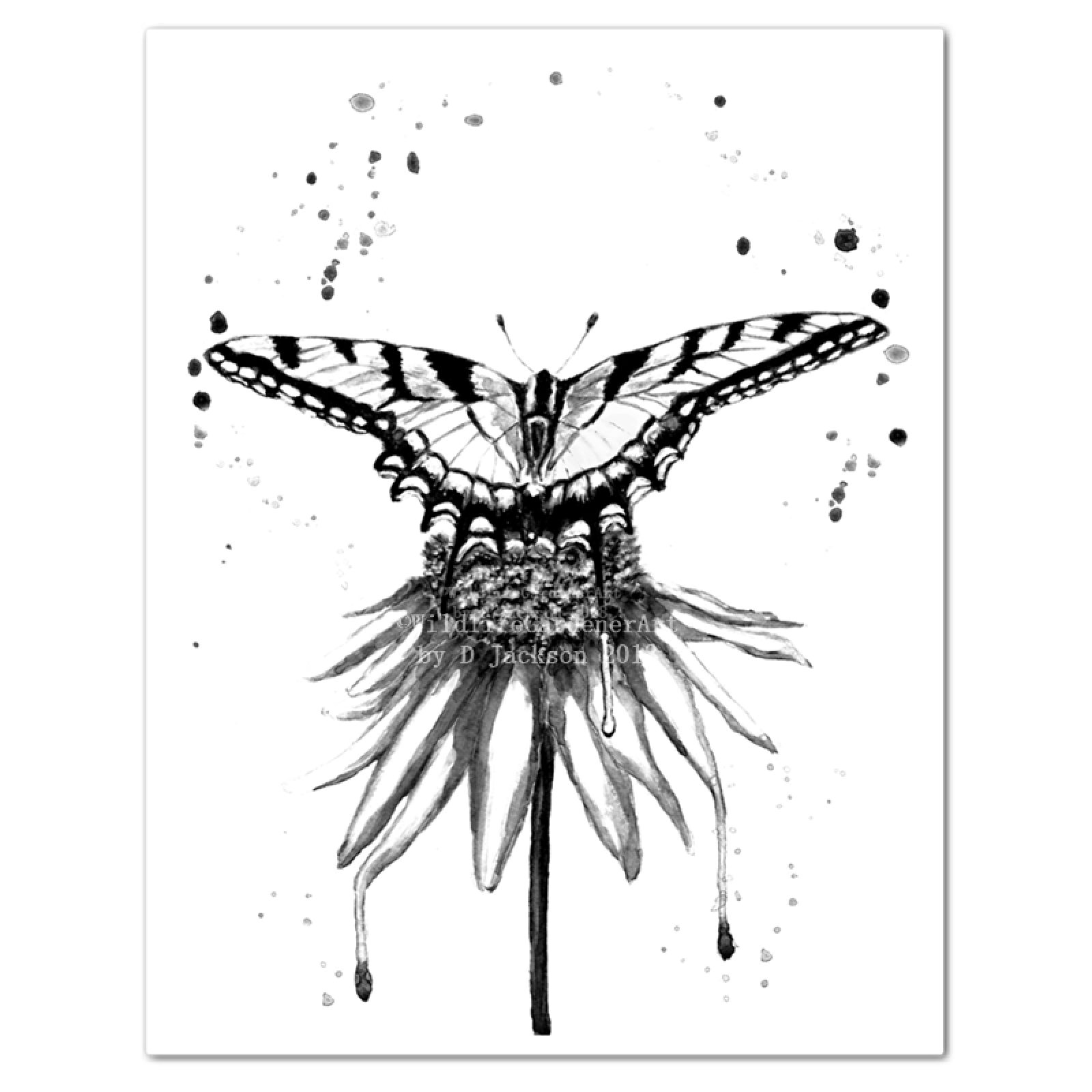 1600x1600 Black And White Butterfly On Flower Monochromatic Watercolor Art