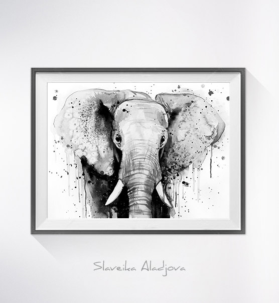 556x604 Black Amp White Elephant Head Watercolor Painting Print