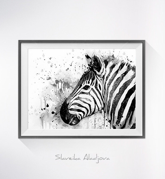 556x604 Black Amp White Zebra 2 Watercolor Painting Print,