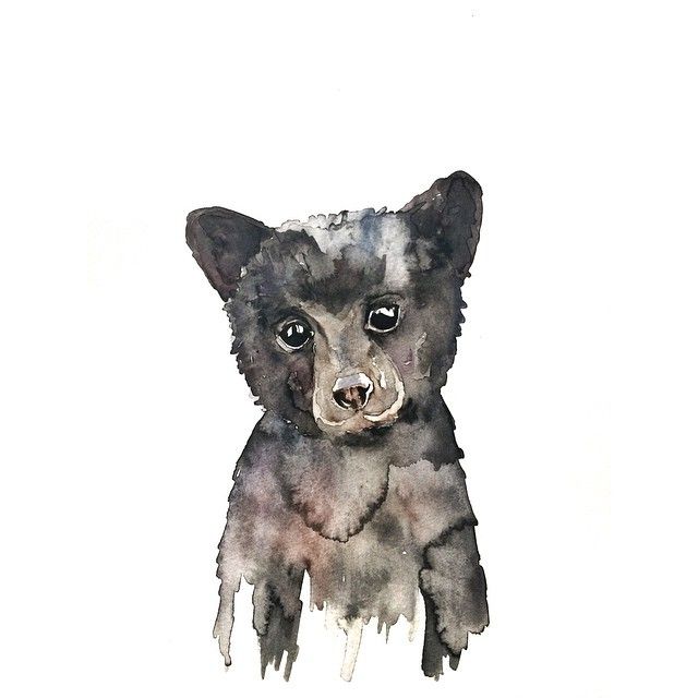 640x640 Black Bear Cub Watercolor
