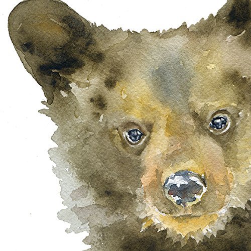 500x500 Black Bear Cub Watercolor Print Kingdom Handmade