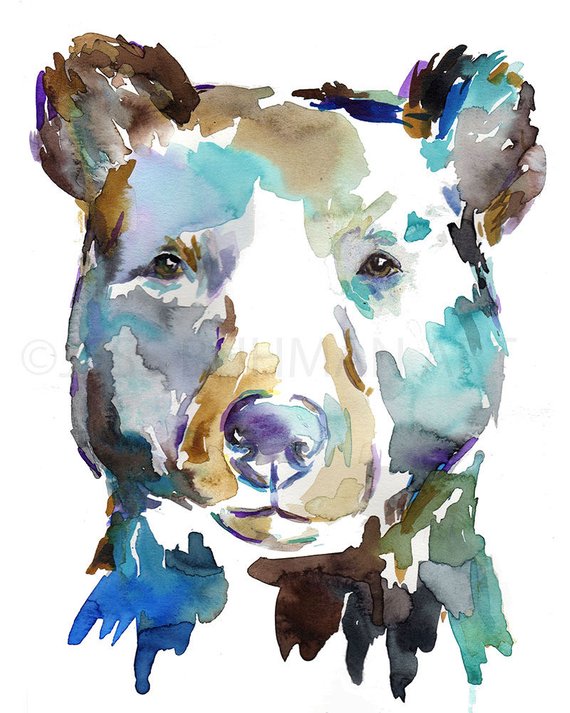 570x713 Black Bear Watercolor Portrait Print Bear Painting Etsy