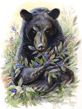 350x463 Black Bear Wildlife Note
