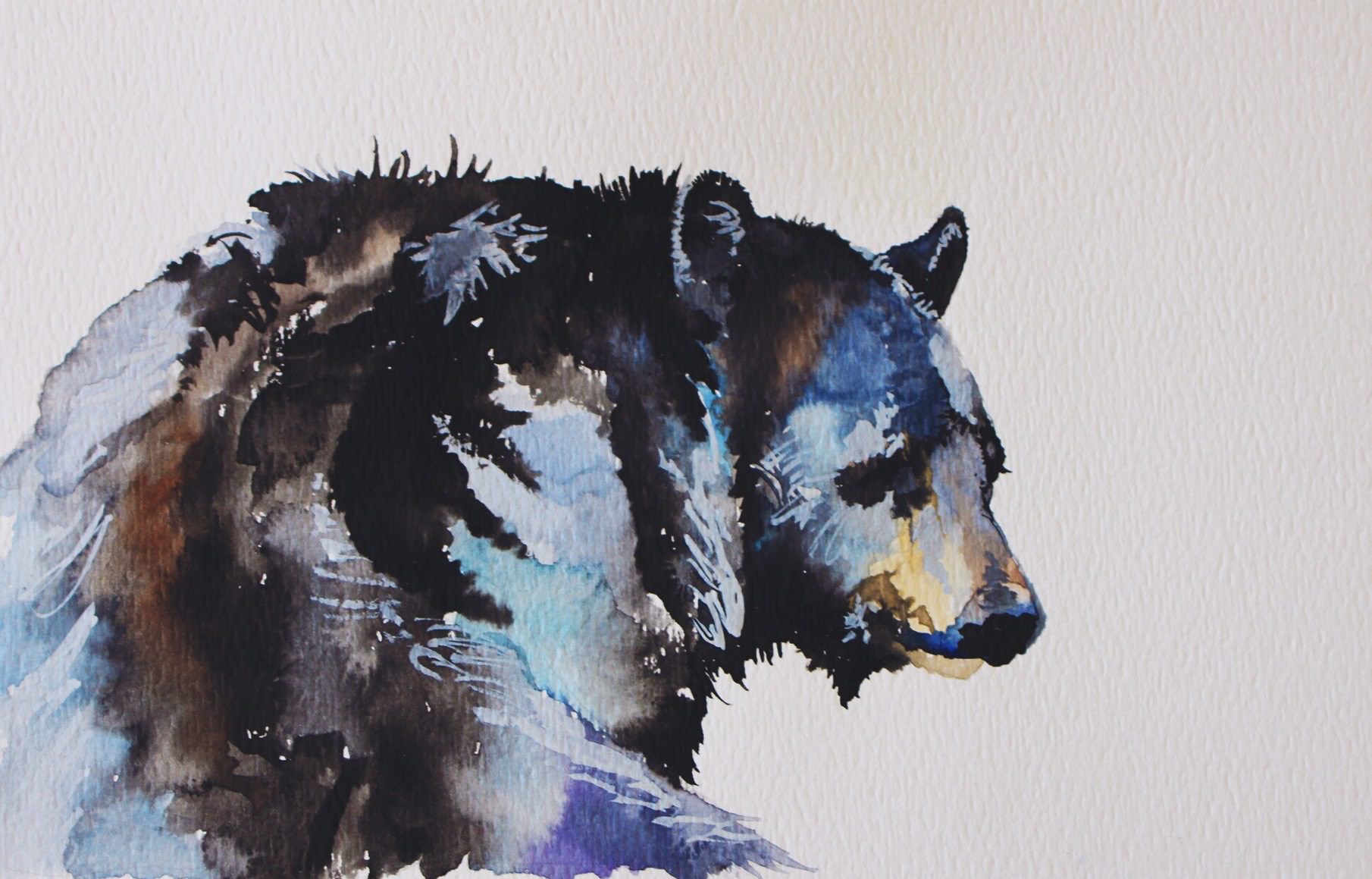1810x1159 Black Bear In The Sun Watercolor Painting