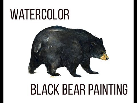 480x360 Watercolor Speed Paint Black Bear Paintingrush Painting