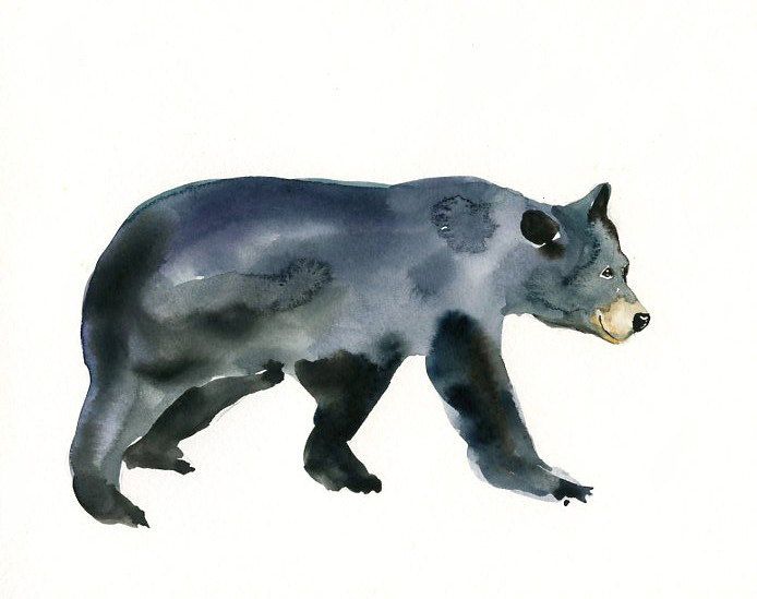 694x549 Black Bear Original Watercolor Painting 10x8inch Bear Art