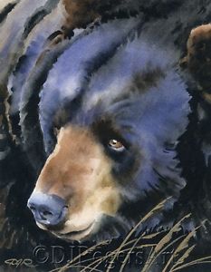 233x300 Black Bear Watercolor 8 X 10 Wildlife Art Print Signed By Artist
