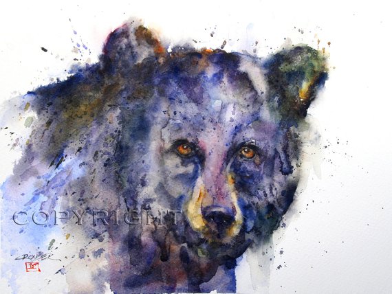 570x428 Black Bear Watercolor Art Print By Dean Crouser Etsy