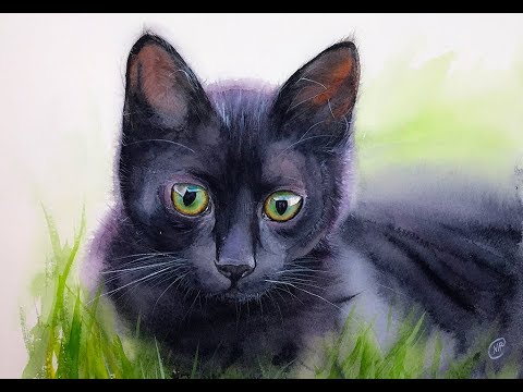 480x360 Black Cat In Watercolors Painting Demonstration