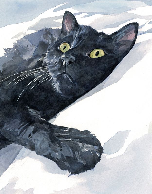 624x800 Black Cat Watercolor Painting Watercolors Painting