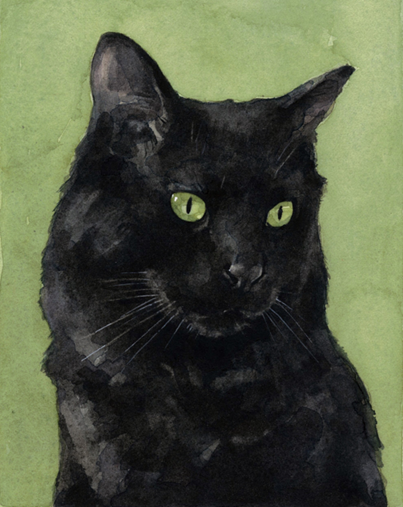 1600x2013 Black Cat Watercolor Print 5x7 David Scheirer Watercolors