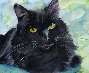 300x247 Giclee Print Black Cat Watercolor Painting Art Long Hair Pet