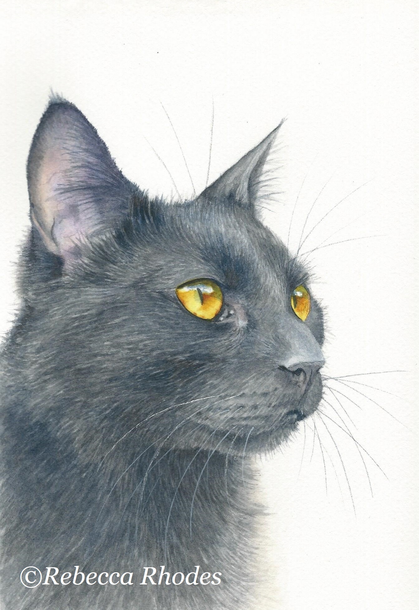 1344x1956 How To Paint A Black Cat In Watercolor